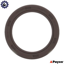 SHAFT SEAL CRANKSHAFT NB799