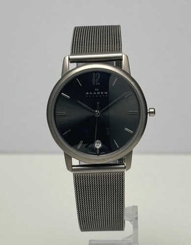 Skagen men titanium - men’s,