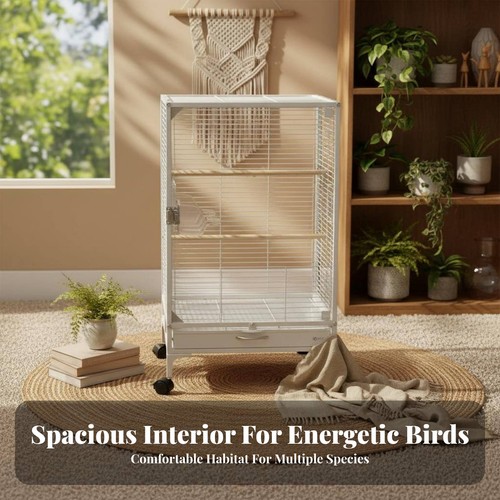 Clear panel bird enclosure - panel,