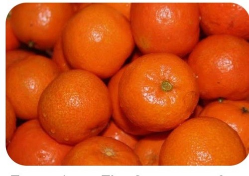 Very young sweet lemon - very,