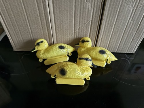 Mallard duck duckling - mallard,