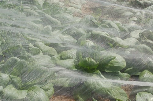 Agralan enviromesh fine garden - agralan,