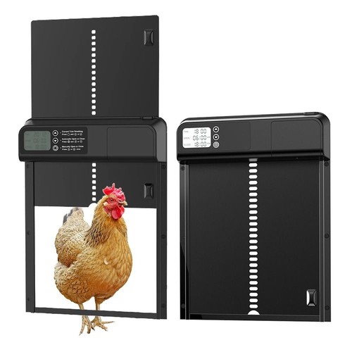 Automatic chicken coop - chicken,