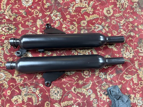 Genuine pair triumph - pair,