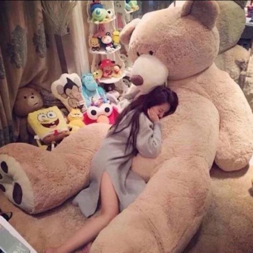 Bears giant large big - giant, teddy