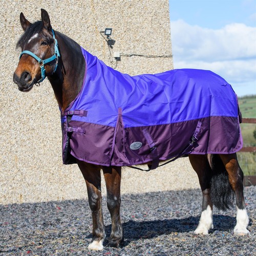 600d lightweight turnout horse - turnout,