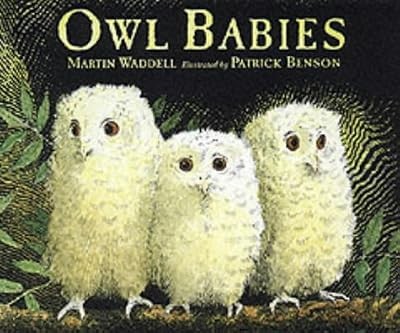 Owl babies little - owl,