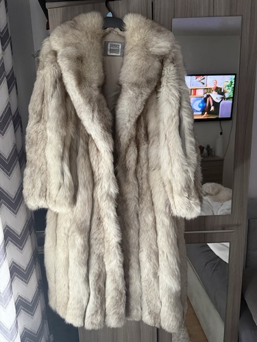 Real artic fox - artic,