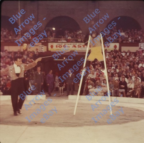 1961 120 med - med, shrine