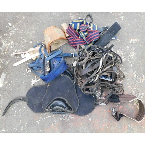 Horse saddle straps box - horse,