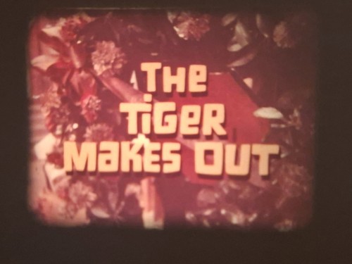 The tiger makes out 1967 - the,