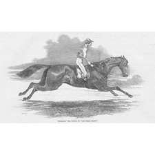 HORSE RACING Surplice Winner