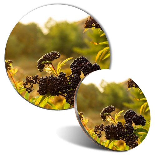 Mouse mat coaster set - mouse,