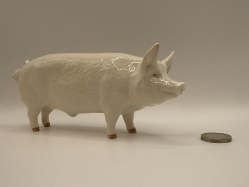 Beswick boar wall - beswick, ‘ch.