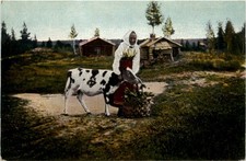 Mora - Sweden -100744