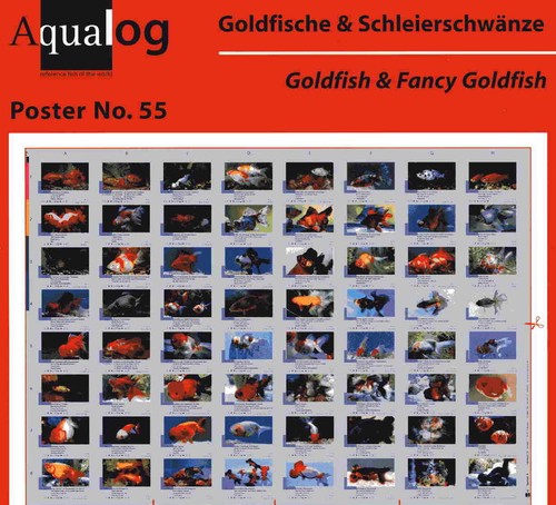Aqualog fold poster goldfish - -,