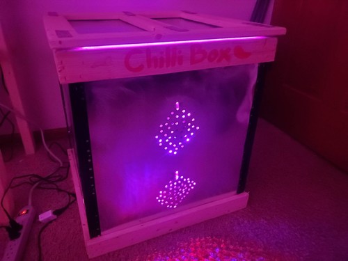 Indica hydroponic grow - grow, kit