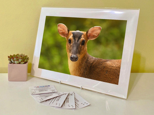 Art print image picture photo - art,