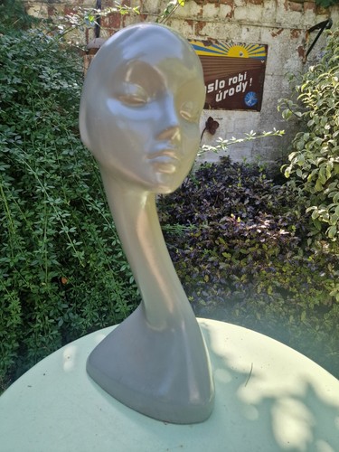 Vintage elegant swan - elegant, shop