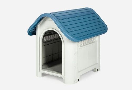 Pet living indoor outdoor - pet,