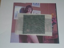 HARRISON MARKS COLLINSON TWIN (Twins Of Evil) Colour Glamour Nude Transparency 2