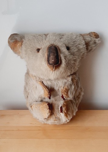 Antique koala - antique,