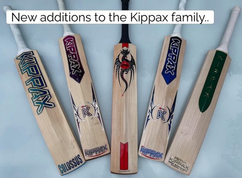 Brand new kippax cricket bats - brand,