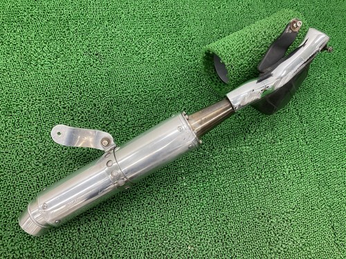 Genuine suzuki goose - goose, 350