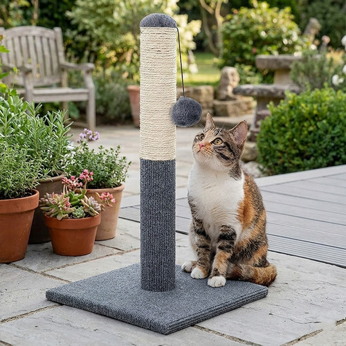 55cm tall large cat scratching - tall,