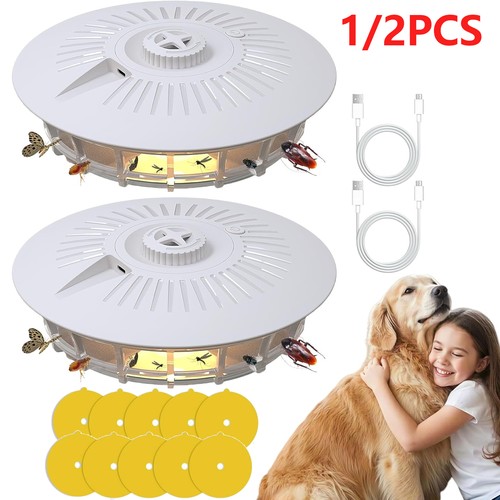 Electric flea trap lamp - trap,
