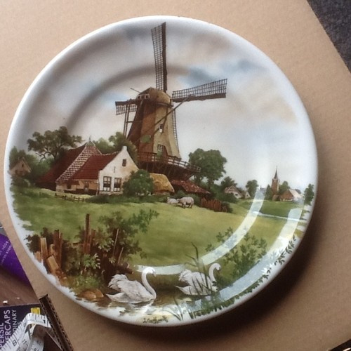 Royal schwabap holland - royal, plate