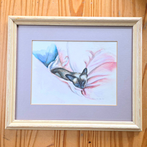 Stunning original siamese cat - original,