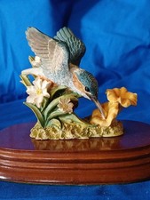 Kingfisher By LEONARDO Nature