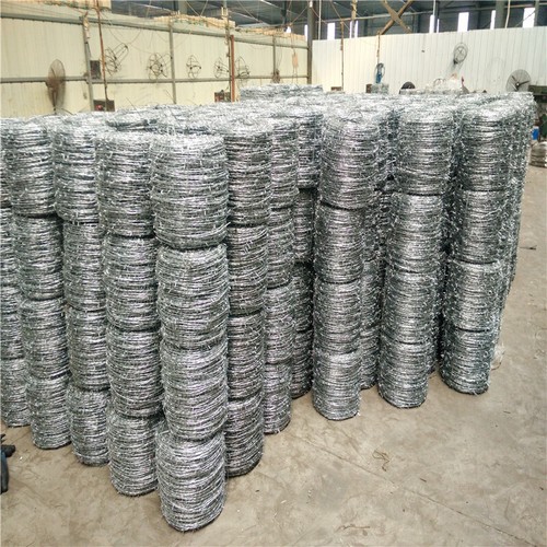 Barbed wire 50m - 50m, 200m