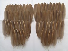 50 French Partridge Wing Feathers 4" - Child Crafting, Christmas Wreath Feathers
