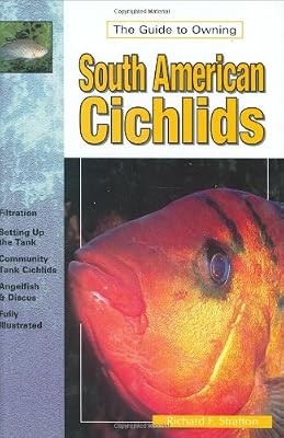 The guide owning south - to,