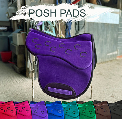 Gorgeous posh pony saddle pad - posh,