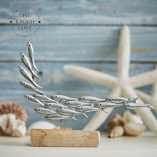 Mini shoal fish nautical - fish,