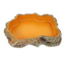  Reptiles Water Tray Feeder Bowl Accessories Bearded Dragon Feeding