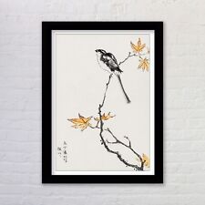 Vintage Japanese Bird Art Print Long Tailed Tit by Numata Kashu Available Framed