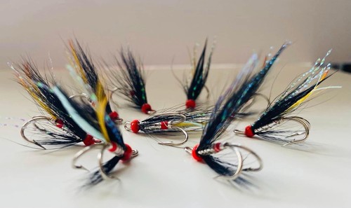 Executioner salmon sea - x,