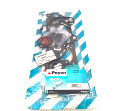 PAYEN DP806 Gasket Set