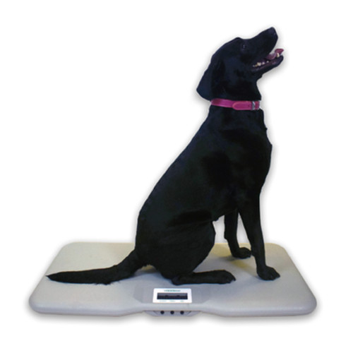 Marsden 110 veterinary scale - marsden,