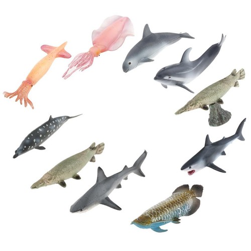 Simulation ocean animals - ocean, model