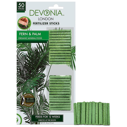 Devonia fern palm plant food - fern,