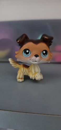 Littlest pet shop - #58, paw