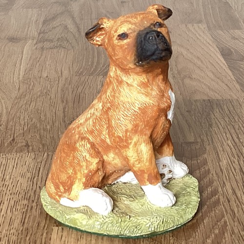 Stef staffordshire bull - staffordshire,