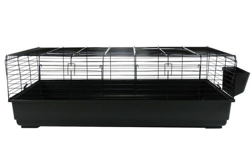 Rabbit guinea pig - rabbit, cage