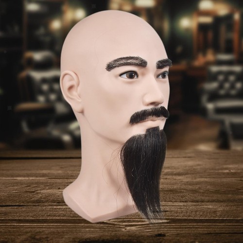 Mannequin head male - head,