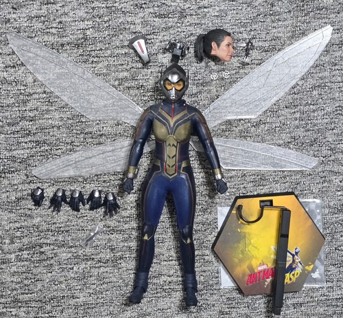 Hot toys marvel ant - ant-man, and